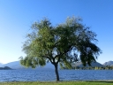 wanaka (28)